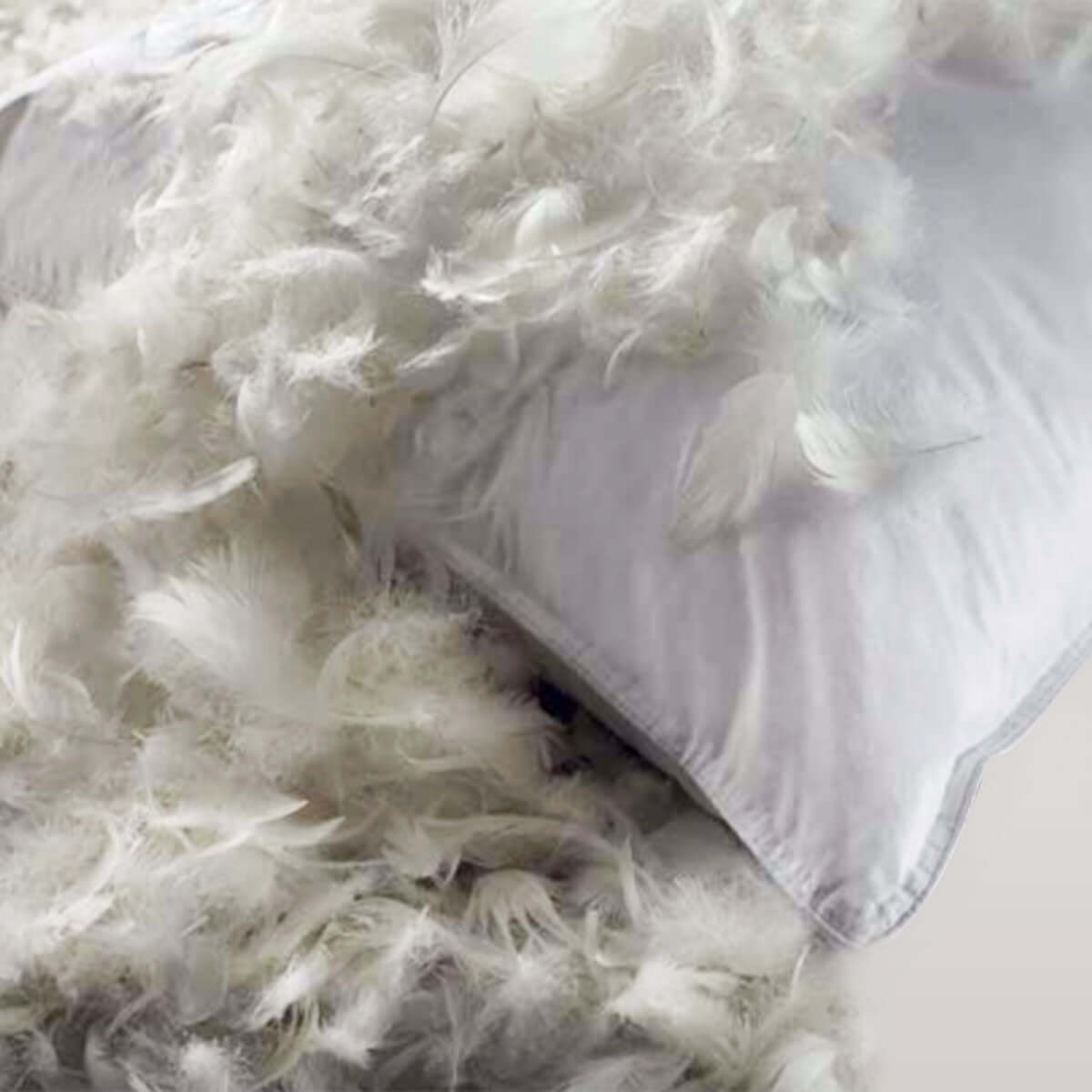 FEATHER PILLOW